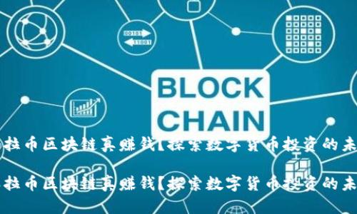 瑞拉币区块链真赚钱？探索数字货币投资的未来

瑞拉币区块链真赚钱？探索数字货币投资的未来