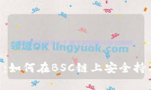 TP钱包的奇迹：如何在BSC链上安全持有和交易SHIB