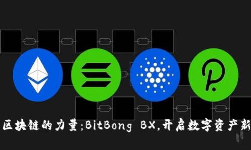 解锁区块链的力量：BitBong BX，开启数字资产新纪元