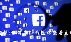 全面解析：如何在TP钱包中查看主网信息