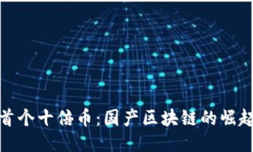 今年首个十倍币：国产区块链的崛起之路