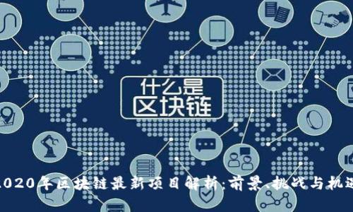 2020年区块链最新项目解析：前景、挑战与机遇