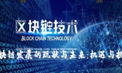 欧洲区块链发展的现状与未来：机遇与挑战并存