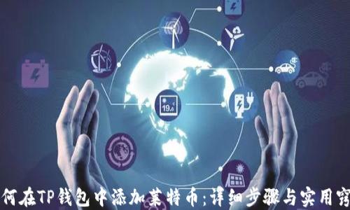 
如何在TP钱包中添加莱特币：详细步骤与实用窍门