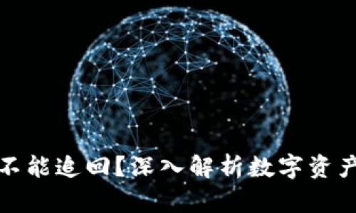 TP钱包丢了币能不能追回？深入解析数字资产保护与追回策略