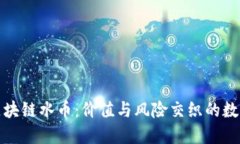 揭秘区块链水币：价值与风险交织的数字世界
