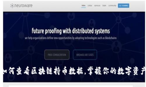 如何查看区块链持币数据，掌握你的数字资产