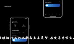 区块链行业的现状与未来展望：在变革中求生存