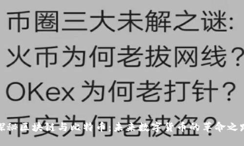 探秘区块链与比特币：未来数字货币的革命之路