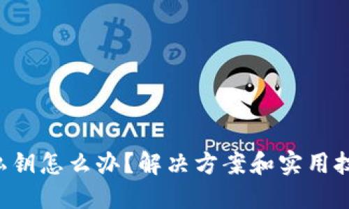 丢失TP钱包私钥怎么办？解决方案和实用技巧全在这里！