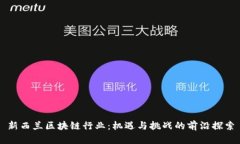 新西兰区块链行业：机遇与挑战的前沿探索