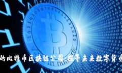 中国领先的比特币区块链公司：探寻未来数字货