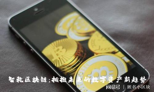 智乾区块链：拥抱未来的数字资产新趋势