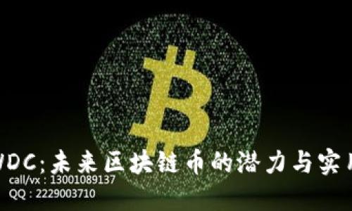 探索WDC：未来区块链币的潜力与实用价值