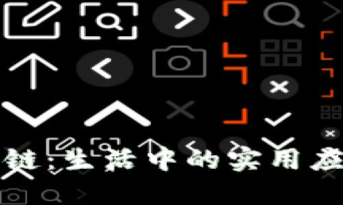 探索晓币区块链：生活中的实用应用与未来潜力