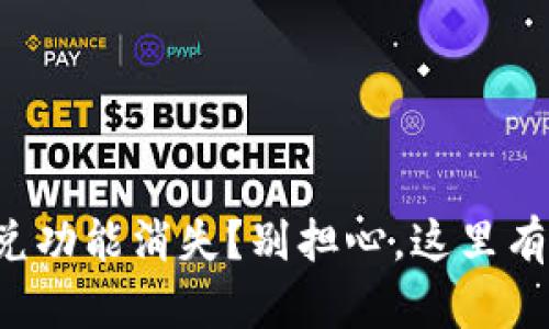 TP钱包闪兑功能消失？别担心，这里有解决方案！