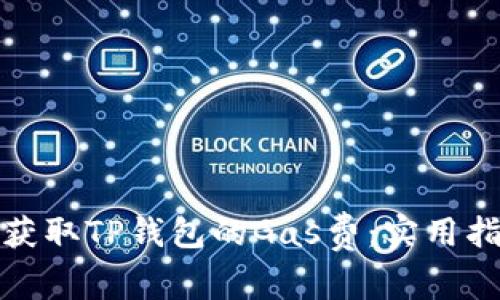 如何轻松获取TP钱包的Gas费：实用指南与技巧