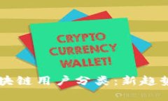 深入解析区块链用户分类：新趋势与实用应用