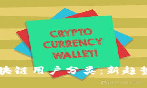 深入解析区块链用户分类：新趋势与实用应用