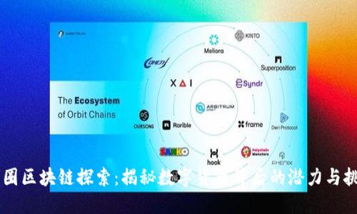 币圈区块链探索：揭秘数字货币背后的潜力与挑战