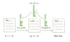 区块链技术在近年来迅速发展，并且出现了多种