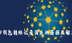 揭秘TP钱包转账记录消失的原因及解决方案