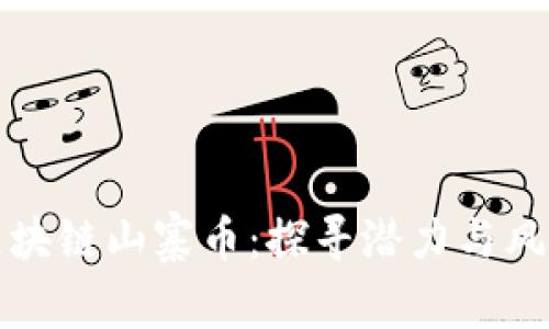 国产区块链山寨币：探寻潜力与风险之路