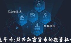 区块链兔子币：新兴加密货币的投资机会与挑战