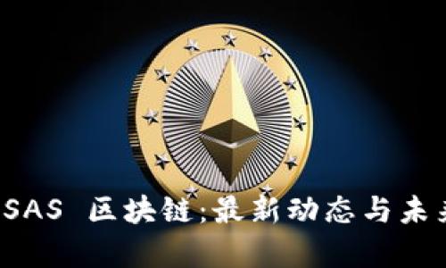 解密 SAS 区块链：最新动态与未来前景
