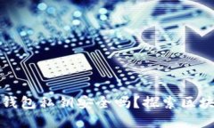 TP钱包生成的钱包私钥安全吗？探索区块链安全新