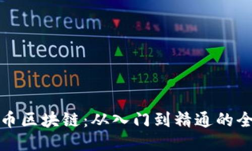 探索达尔币区块链：从入门到精通的全方位指南