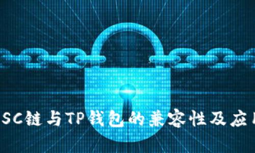 探讨BSC链与TP钱包的兼容性及应用前景