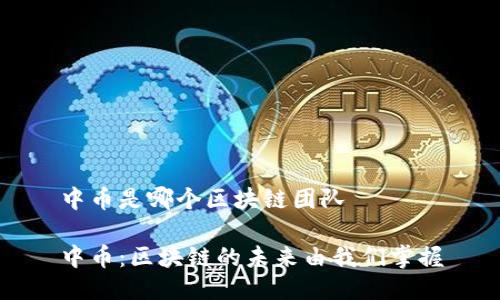 中币是哪个区块链团队

中币：区块链的未来由我们掌握