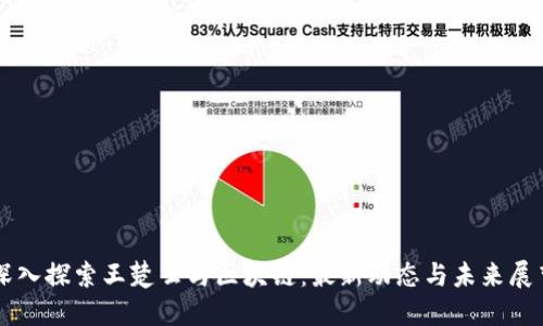 深入探索王楚云与区块链：最新动态与未来展望