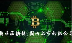 : 比特币区块链：国内上市的机会与挑战
