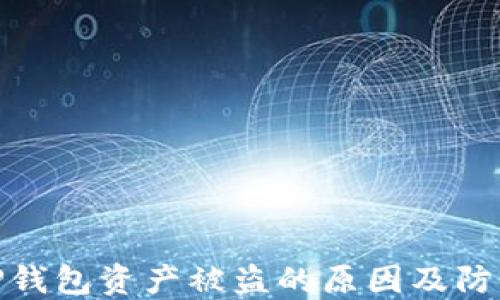 
揭示TP钱包资产被盗的原因及防范措施