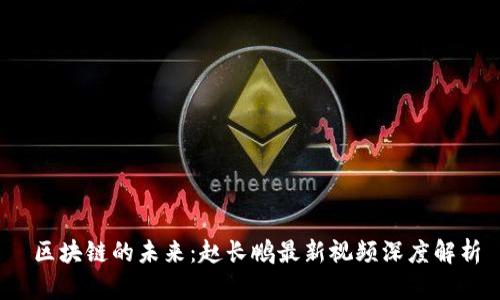 区块链的未来：赵长鹏最新视频深度解析