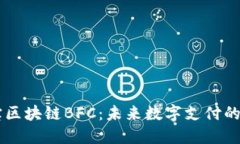 币付宝区块链BFC：未来数字支付的颠覆者