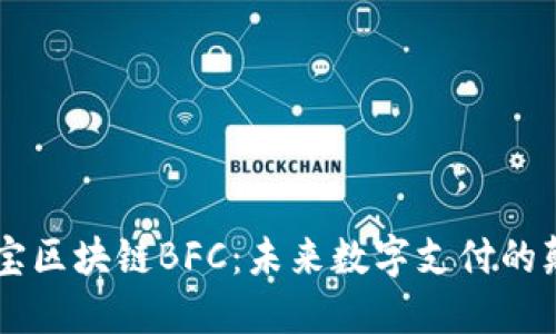 币付宝区块链BFC：未来数字支付的颠覆者