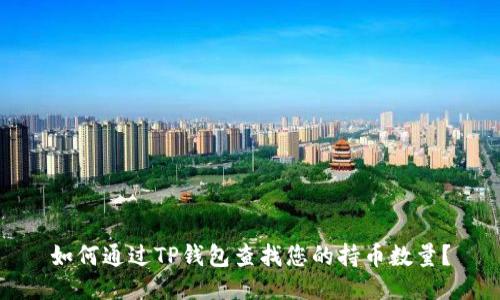 如何通过TP钱包查找您的持币数量？