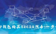 如何使用TP钱包购买BRC20代币：一步一步的指南