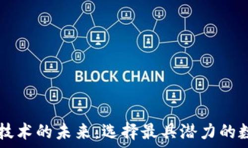   
区块链技术的未来：选择最具潜力的数字货币