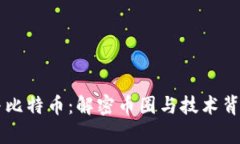 区块链与比特币：解密币圈与技术背后的真相