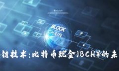 探索最新区块链技术：比特币现金（BCH）的未来