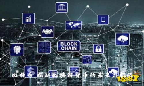 比特币：揭秘区块链货币的未来与挑战