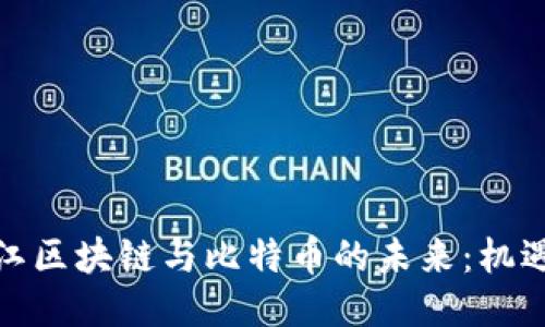 探索浙江区块链与比特币的未来：机遇与挑战