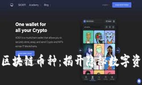 探索小众区块链币种：揭开隐秘数字资产的面纱