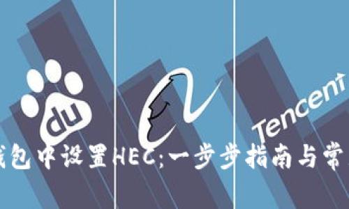 如何在TP钱包中设置HEC：一步步指南与常见问题解答