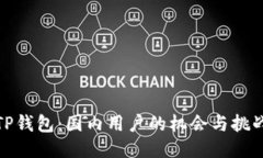 TP钱包：国内用户的机会与挑战