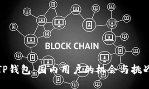 TP钱包：国内用户的机会与挑战